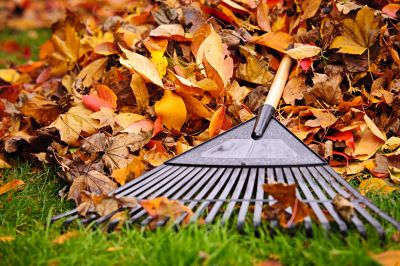 Fall Lawn Care Tools