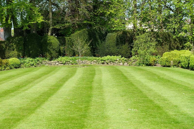 Trimmed Grass Edges