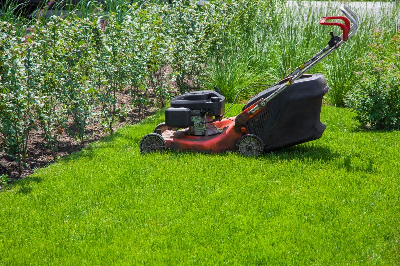 Healthy Lawn