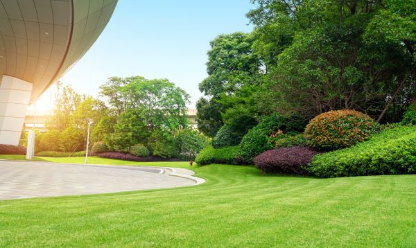 Commercial Lawn Care in Evans