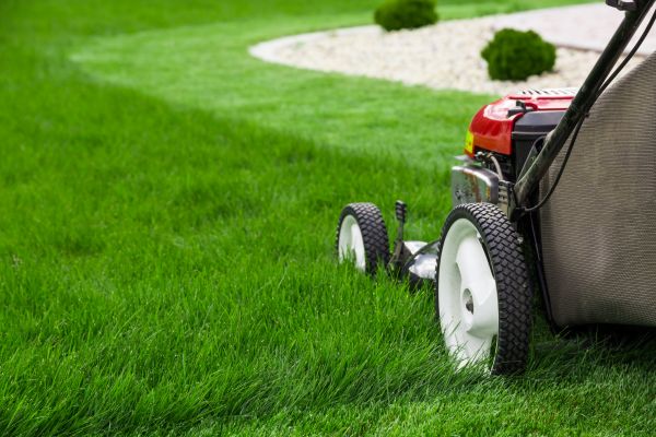 Grass Cutting Service in Evans