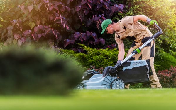 Lawn Care And Maintenance in Evans