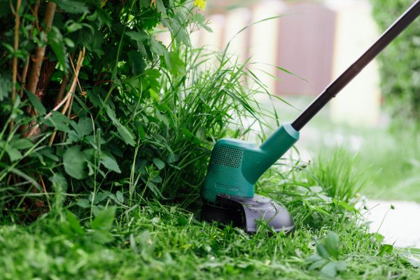 Weed Whacking in Evans