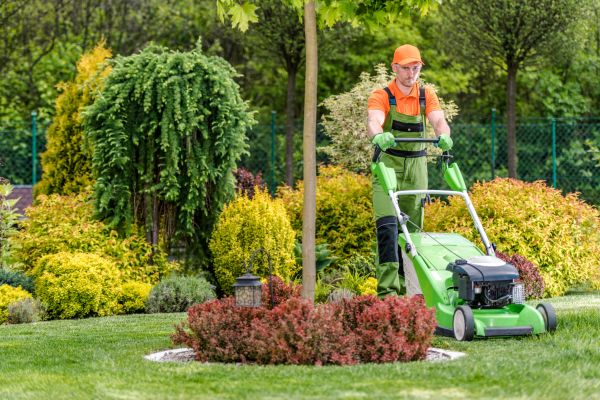 Yard Service in Evans