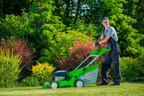 Yard Work Service in Evans