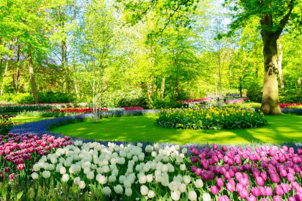 Spring Lawn Care in Evans