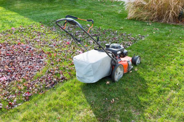 Seasonal Lawn Care in Evans