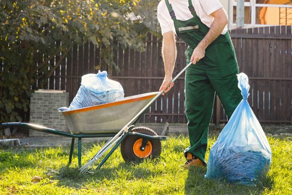 Yard Cleaning in Evans
