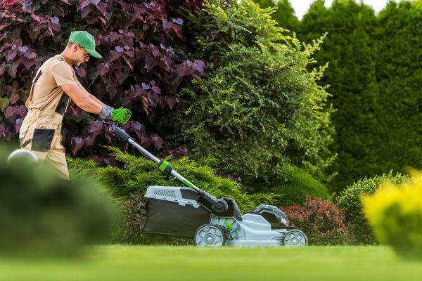 Lawn Management in Evans