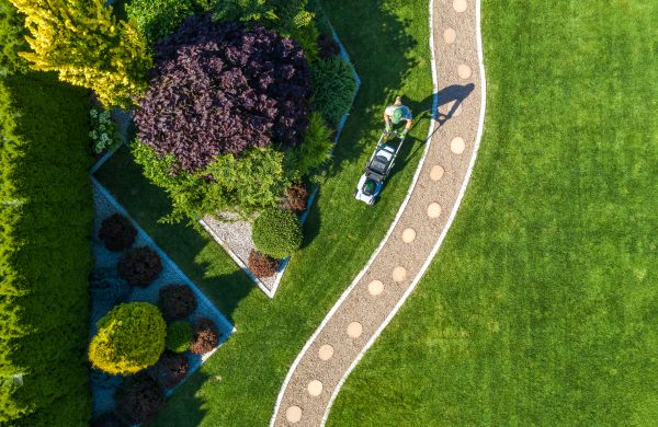 Mowing And Landscaping in Evans