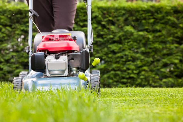 Grass Trimming Service in Evans