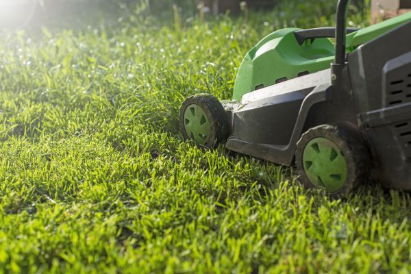Yard Trimming in Evans