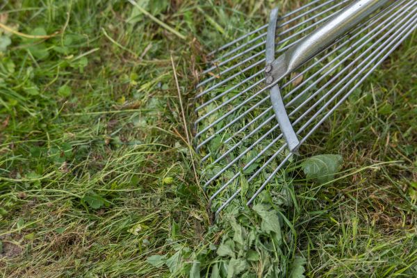 Thatch Raking in Evans