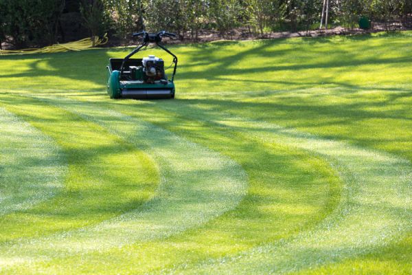 Business Lawn Mowing in Evans
