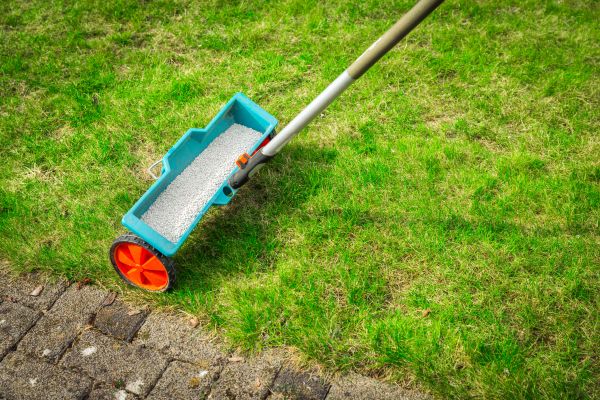 Commercial Lawn Treatment in Evans