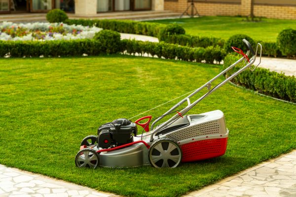 Business Grass Cutting in Evans
