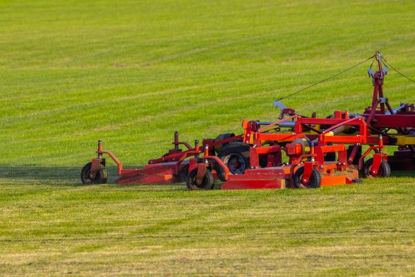 Industrial Lawn Service in Evans