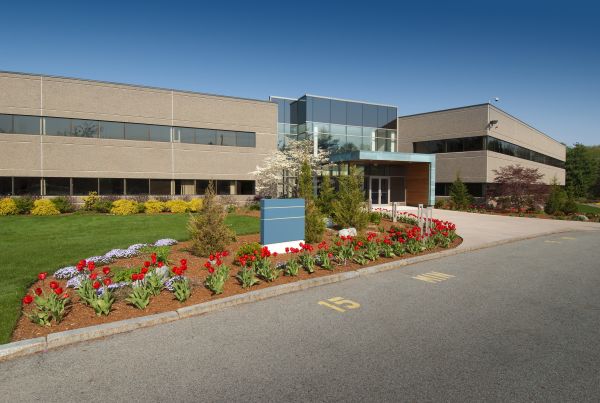 Commercial Groundskeeping in Evans
