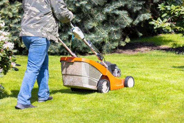 Springtime Lawn Care in Evans