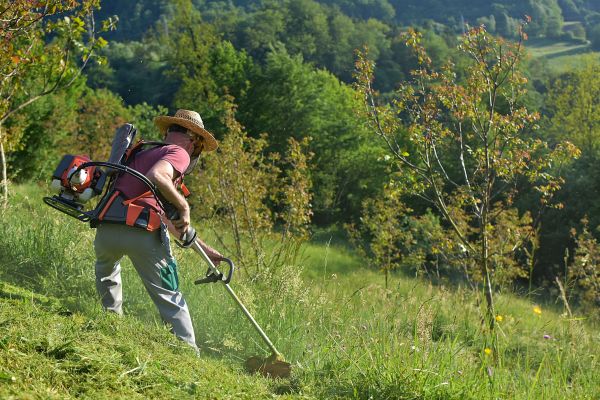Slope Mowing in Evans