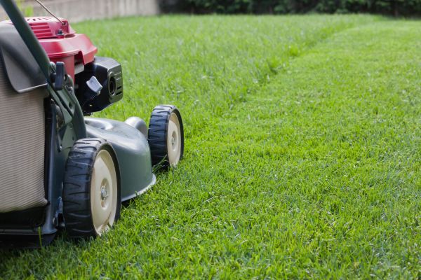 Spring Lawn Maintenance in Evans