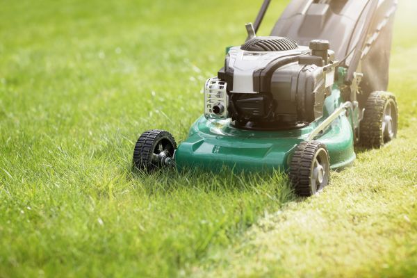 Spring Grass Trimming in Evans