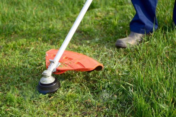 Lawn Weed Whacking in Evans
